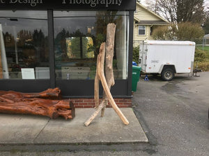 The driftwood coat hook